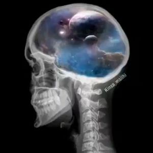 Meet your Posher, Jesse delano